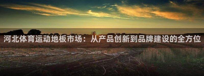 谈球吧体育官网：河北体育运动地板市场：从产品创新到品牌建设的全方位