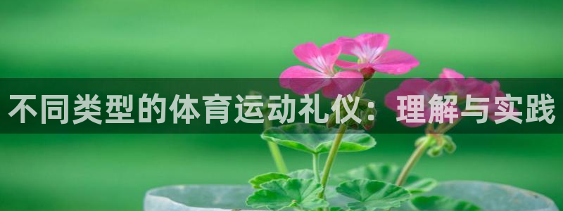 谈球吧体育官网：不同类型的体育运动礼仪：理解与实践