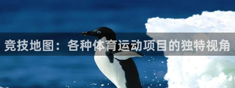 谈球吧体育官网：竞技地图：各种体育运动项目的独特视角