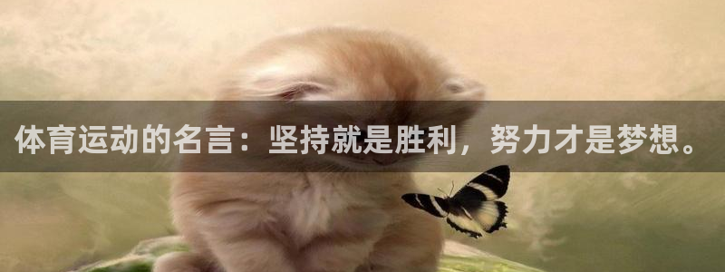 谈球吧体育官网：体育运动的名言：坚持就是胜利，努力才是梦想。