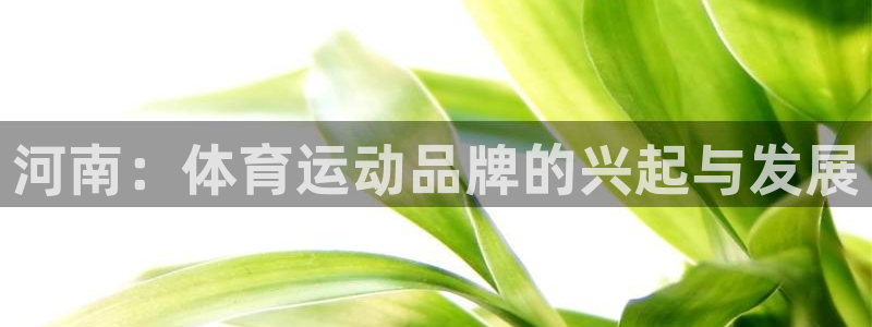 谈球吧体育：河南：体育运动品牌的兴起与发展