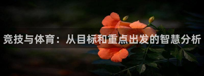 谈球吧：竞技与体育：从目标和重点出发的智慧分析