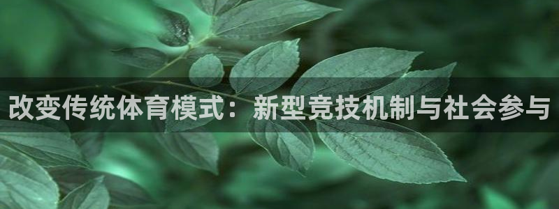 谈球吧体育官网：改变传统体育模式：新型竞技机制与社会参与
