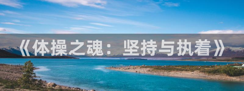 谈球吧体育官网：《体操之魂：坚持与执着》