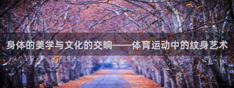 谈球吧：身体的美学与文化的交响——体育运动中的纹身艺术