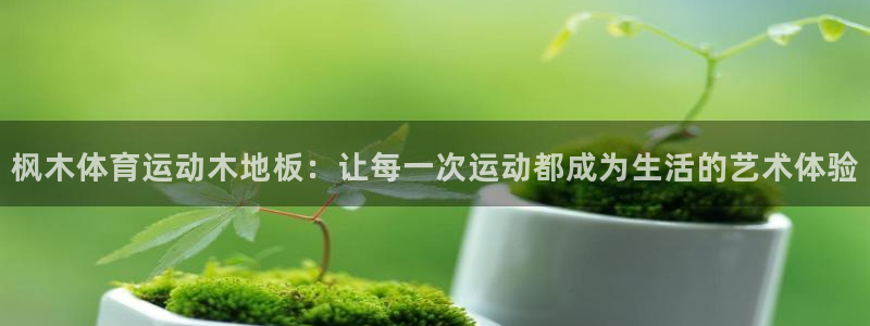 谈球吧体育官网：枫木体育运动木地板：让每一次运动都成为生活的艺术体验